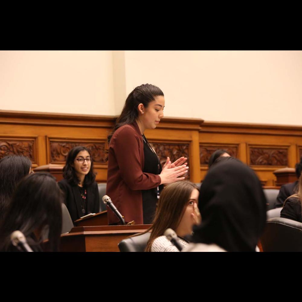 Model Parliament 2018